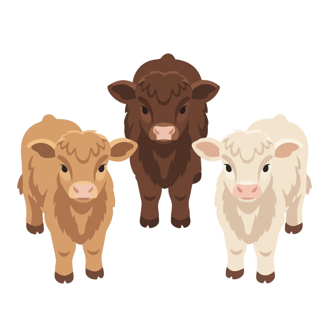 Mini Highland Cows Ranch